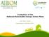 Evaluation of the National Renewable Energy Action Plans