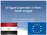 EU-Egypt Cooperation in Water Sector in Egypt. Overview on Water/Wastewater sector EU-Egypt ongoing and future cooperation