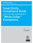 Small Entity Compliance Guide