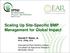 Scaling Up Site-Specific BMP Management for Global Impact Harold F. Reetz, Jr. Ph.D., CPAg, CCA