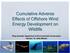 Cumulative Adverse Effects of Offshore Wind Energy Development on Wildlife