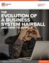 EVOLUTION OF A BUSINESS SYSTEM HAIRBALL