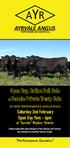AYRVALE ANGUS. Open Day, Online Bull Sale. Saturday 2nd February Open Day 9am - 6pm at Ayrvale Waubra Victoria. & Female Private Treaty Sale