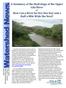 A Summary of the Hydrology of the Upper Gila River or How Can a River be Dry One Day and a Half a Mile Wide the Next?