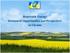 Renewable Energy: Investment Opportunities and Perspectives in Ukraine