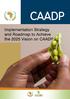 Implementation Strategy and Roadmap to Achieve the 2025 Vision on CAADP