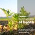 Towards farmer principles. of health. 10 key statements of farmers to improve health in organic agricultural systems