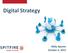 Digital Strategy Midy Aponte October 2, 2015
