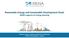 Renewable Energy and Sustainable Development Goals IRENA supports on Energy planning