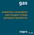gas production, consumption and transport in deep geological repositories