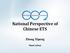 National Perspective of Chinese ETS